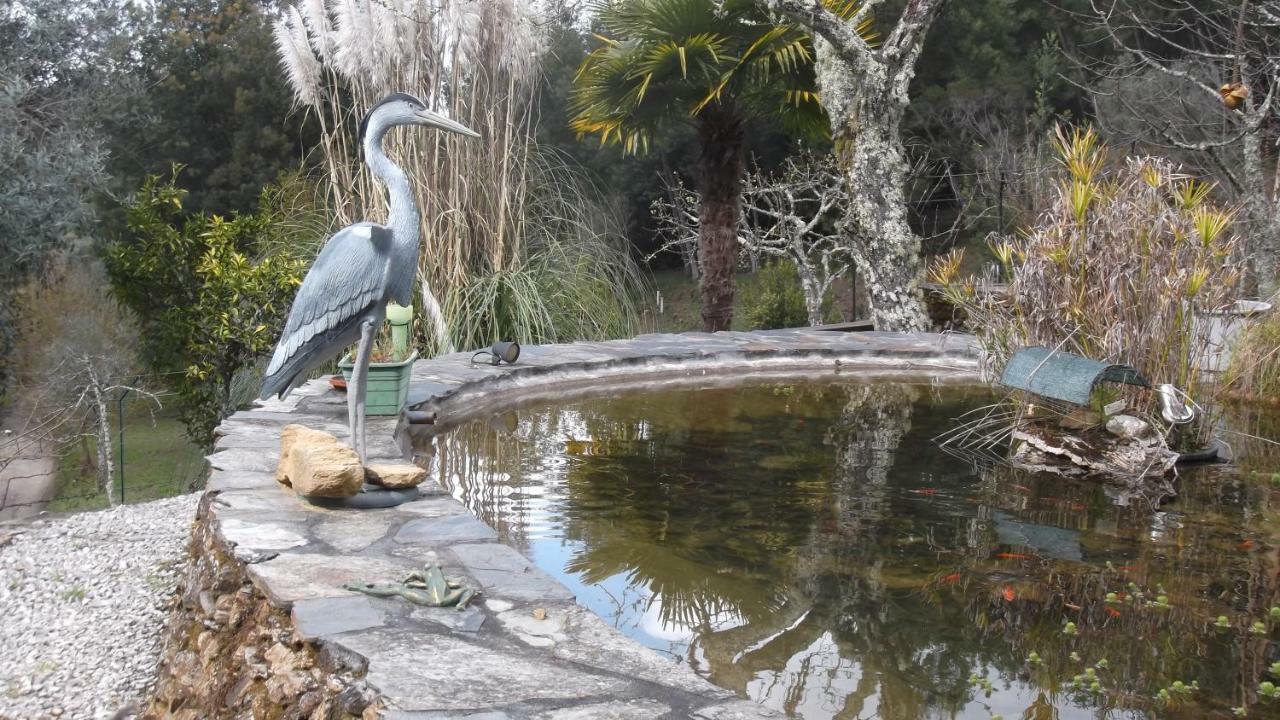 شقة أوليفيرا دو هوسبيتال  في Quinta Campo Bravo المظهر الخارجي الصورة